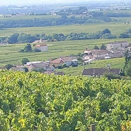 Cocon De Morgon Villie-Morgon